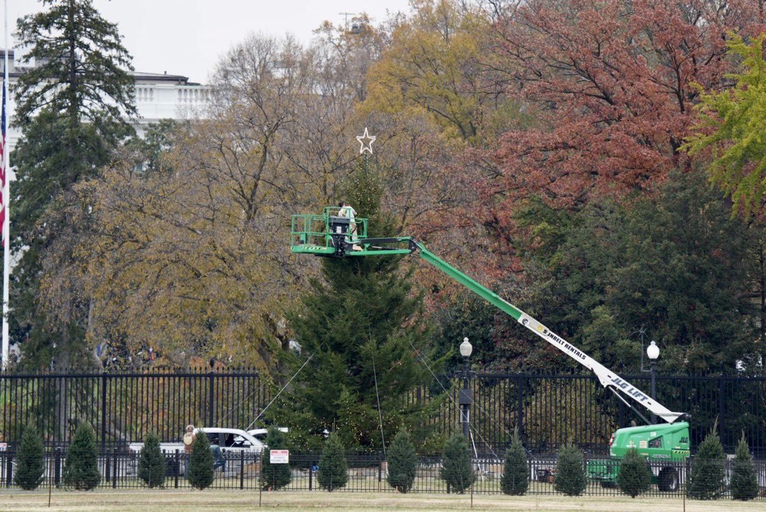 National Christmas Tree Arrives at White House for 2025 Celebration