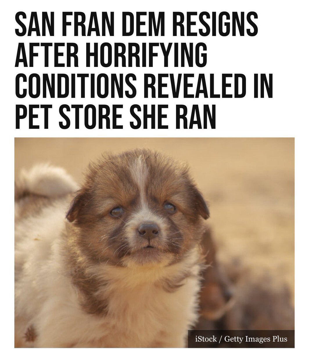 Join SGT News Network on Twitter and Truth Social Today!