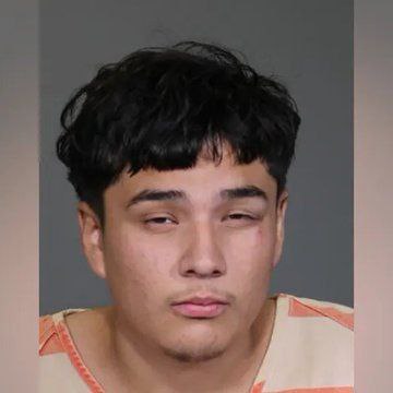 Mug Shot Released of Illegal Alien Charged with Assaulting Woman